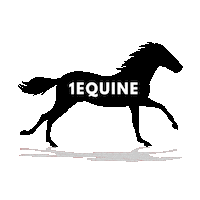 1Equine horse horse racing 1e horse supplement Sticker