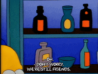 Season 1 Episode 3 GIF by The Simpsons