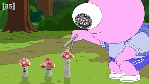 Mushroom Foraging GIF by Adult Swim