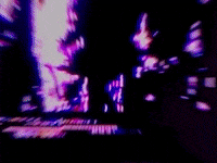 Laugh Laughing GIF by Ø$iⱤ!$