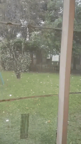 Kundabung Backyard Pelted With Enormous Hailstones During Spring Storm
