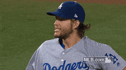 Excited Los Angeles Dodgers GIF by MLB