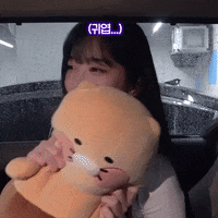 K-Pop Hug GIF