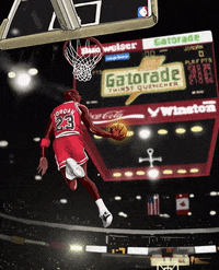 Michael Jordan born to fly