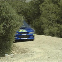 Weekend Driving GIF by FIA World Rally Championship