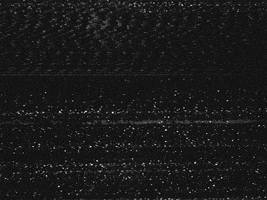 Horror Glitch GIF by Hunter Preston