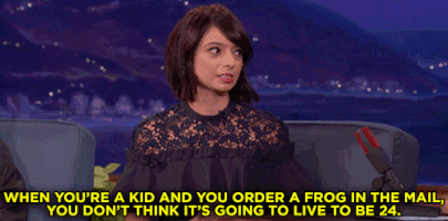 teamcoco frogs kate micucci GIF