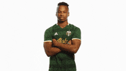 Portland Timbers Jebo GIF by Timbers