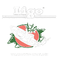 Tom Rodriguez Sardines Sticker by Ligo