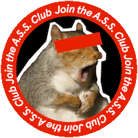 Squirrel Assclub Sticker by BARK BRIGHT