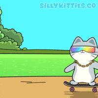 Skating Lets Go GIF by Silly Kitties