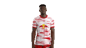 Football No Sticker by RB Leipzig