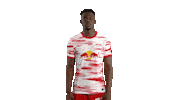 Football No Sticker by RB Leipzig