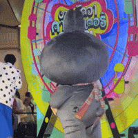 Bunny Win GIF