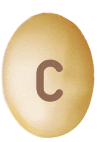 Chocolate C Sticker by conguitos