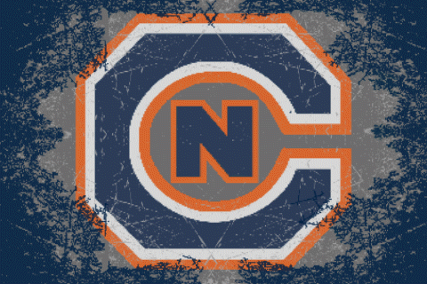 cnms18 GIF by Carson-Newman Athletics