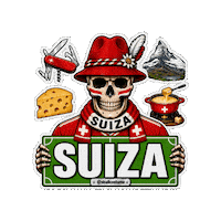 Copa Del Mundo Soccer Sticker