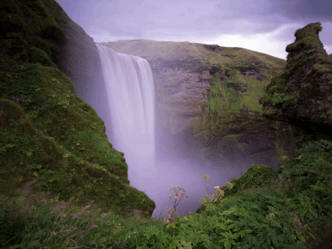 GIF by FranchiseONE.de