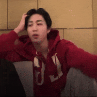 Stray Kids Skz GIF