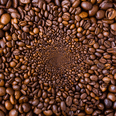 yirmibirco giphyupload espresso kahve coffee bean GIF