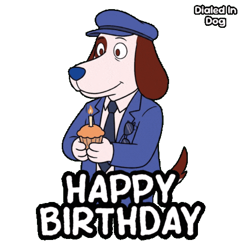 Celebrate Happy Birthday Sticker by VeeFriends