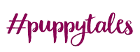Love Dogs Photography Sticker by puppytales