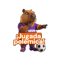 Wowfut Sticker by WOW Perú
