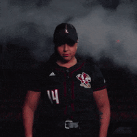 Celebration Softball GIF by Louisville Cardinals