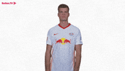 Watching I See You GIF by RB Leipzig