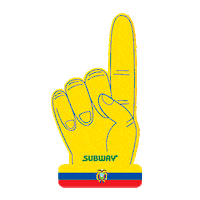 Football Ecuador Sticker by Subway Colombia