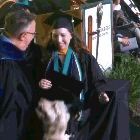 Dog College Graduation GIF by Eckerd College