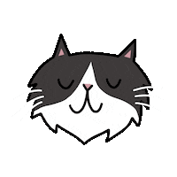 tuxedo cat yes Sticker by Nikki McWilliams
