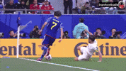 Team Melli GIF