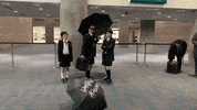 Comic Con Cosplay GIF by Temple Of Geek