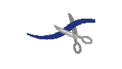 Ribbon Cutting Sticker by South Tampa Chamber