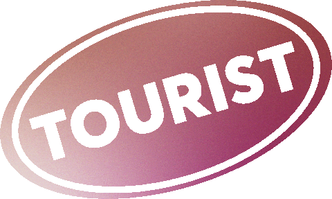 Take Me There Travel Sticker by Desired Landscapes