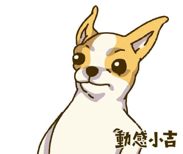 Animation Dog GIF