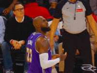 Lebron James What GIF by Respective