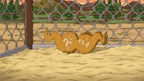 Family Guy Mustache GIF by FOX TV