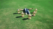 Mumbai Indians India GIF