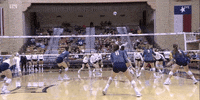 ncaasports ncaa volleyball rice owls GIF