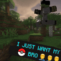 Bro GIF