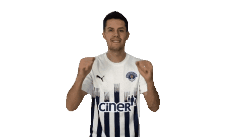 Hajradinovic Sticker by Reprezentacija Ba