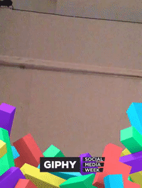 framebeta GIF