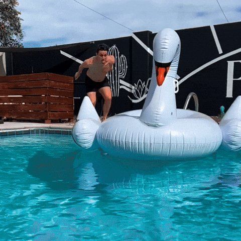 Pool Party Swimming GIF