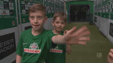 werderbremen GIF