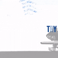 Jamie Shillcock home try