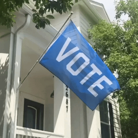 FlagsForGood vote flag biden voting GIF