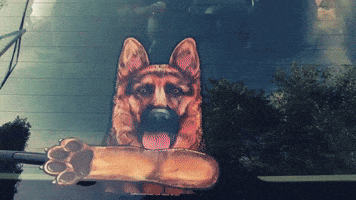 waving german GIF by WiperTags