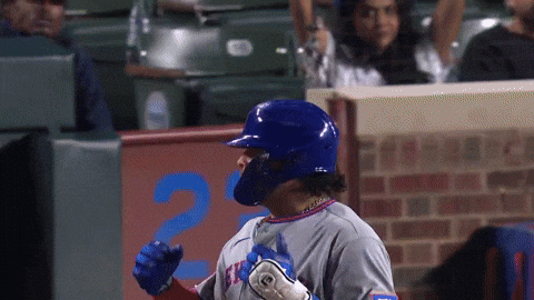 Celebrate New York Mets GIF by MLB